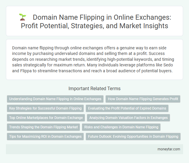 Domain Name Flipping in Online Exchanges: Profit Potential, Strategies, and Market Insights