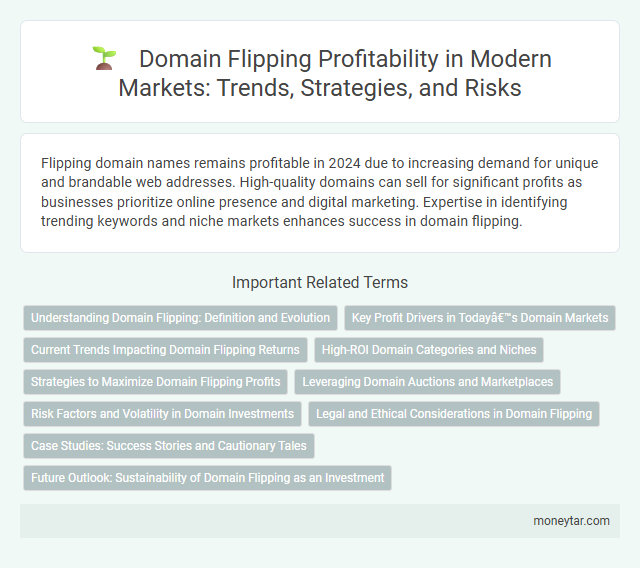 Domain Flipping Profitability in Modern Markets: Trends, Strategies, and Risks