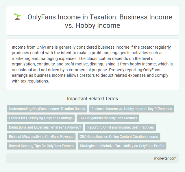 OnlyFans Income in Taxation: Business Income vs. Hobby Income