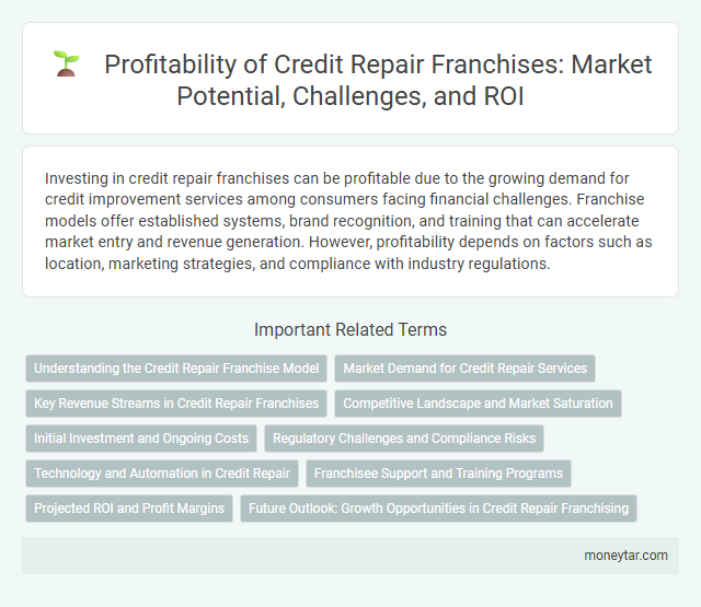 Profitability of Credit Repair Franchises: Market Potential, Challenges, and ROI