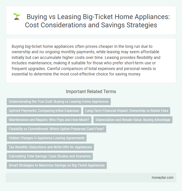 Buying vs Leasing Big-Ticket Home Appliances: Cost Considerations and Savings Strategies
