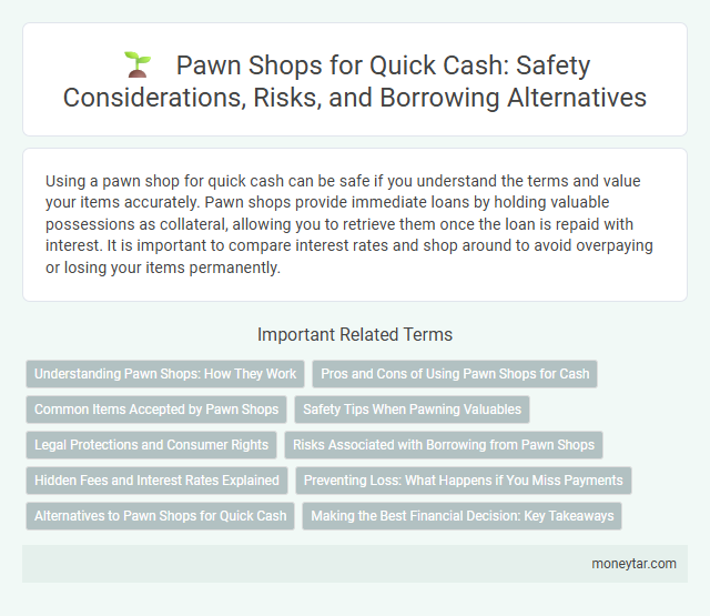 Pawn Shops for Quick Cash: Safety Considerations, Risks, and Borrowing Alternatives
