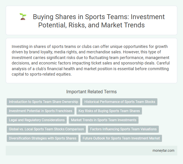 Buying Shares in Sports Teams: Investment Potential, Risks, and Market Trends