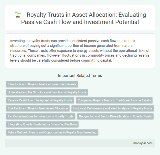 Royalty Trusts in Asset Allocation: Evaluating Passive Cash Flow and Investment Potential
