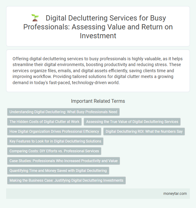 Digital Decluttering Services for Busy Professionals: Assessing Value and Return on Investment