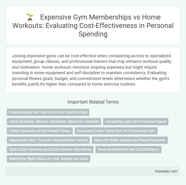 Expensive Gym Memberships vs Home Workouts: Evaluating Cost-Effectiveness in Personal Spending