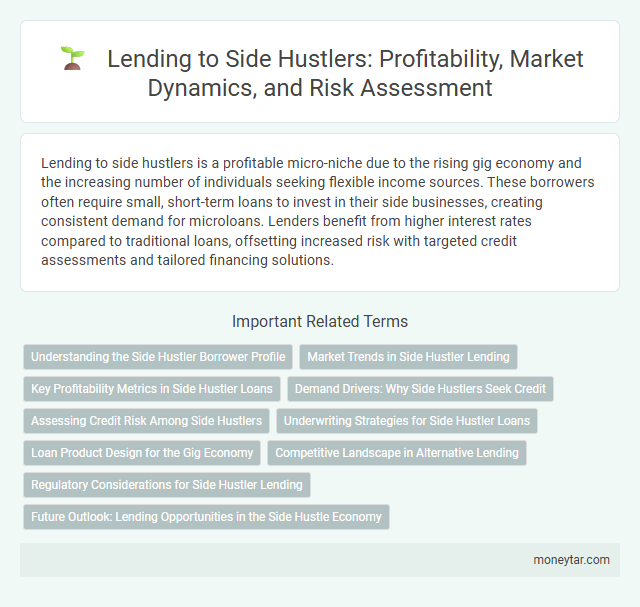 Lending to Side Hustlers: Profitability, Market Dynamics, and Risk Assessment