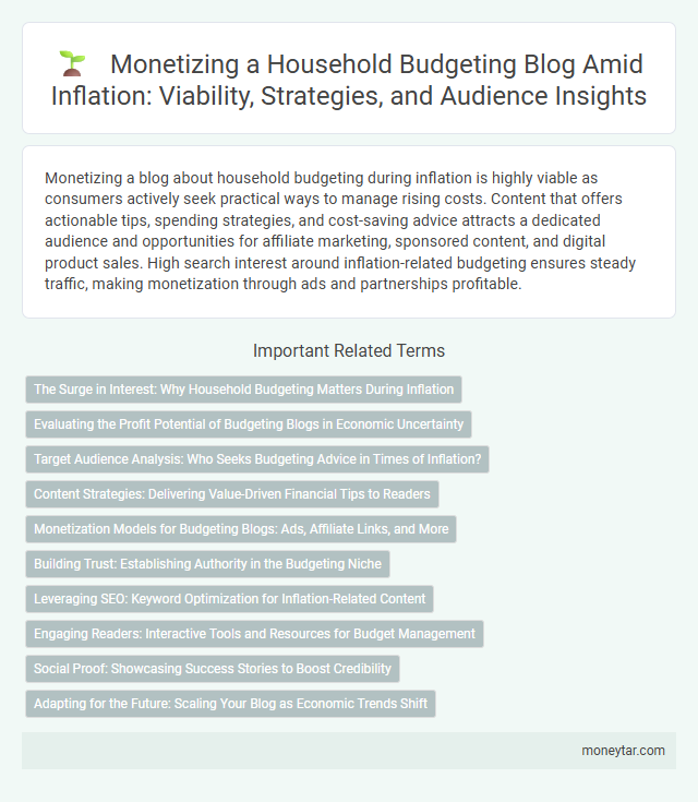 Monetizing a Household Budgeting Blog Amid Inflation: Viability, Strategies, and Audience Insights