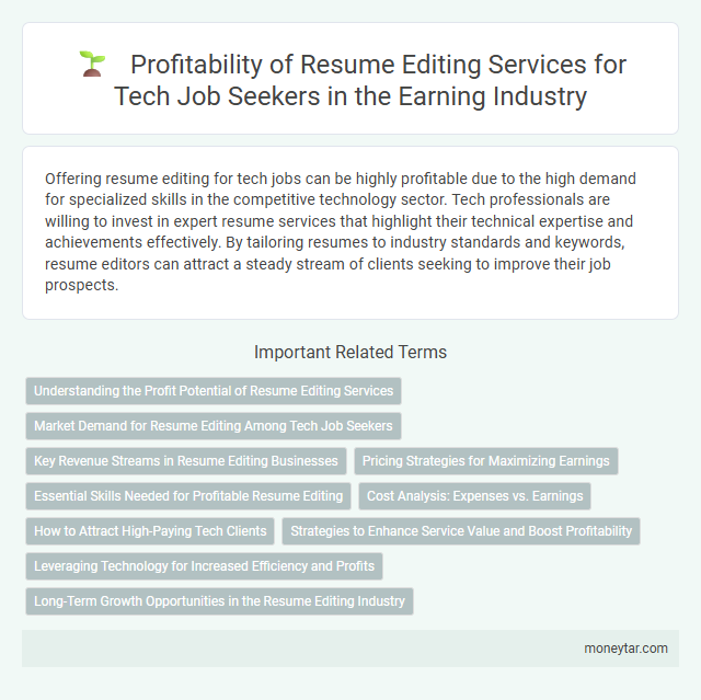 Profitability of Resume Editing Services for Tech Job Seekers in the Earning Industry