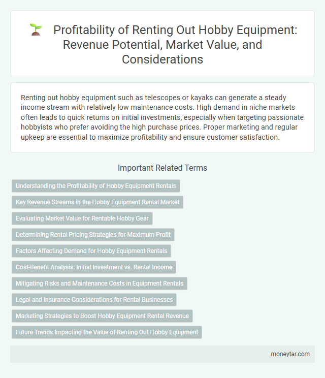 Profitability of Renting Out Hobby Equipment: Revenue Potential, Market Value, and Considerations