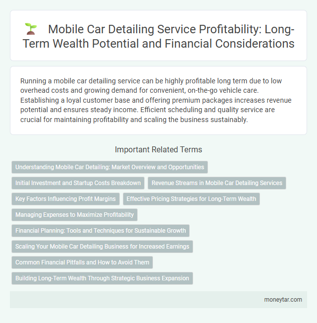 Mobile Car Detailing Service Profitability: Long-Term Wealth Potential and Financial Considerations