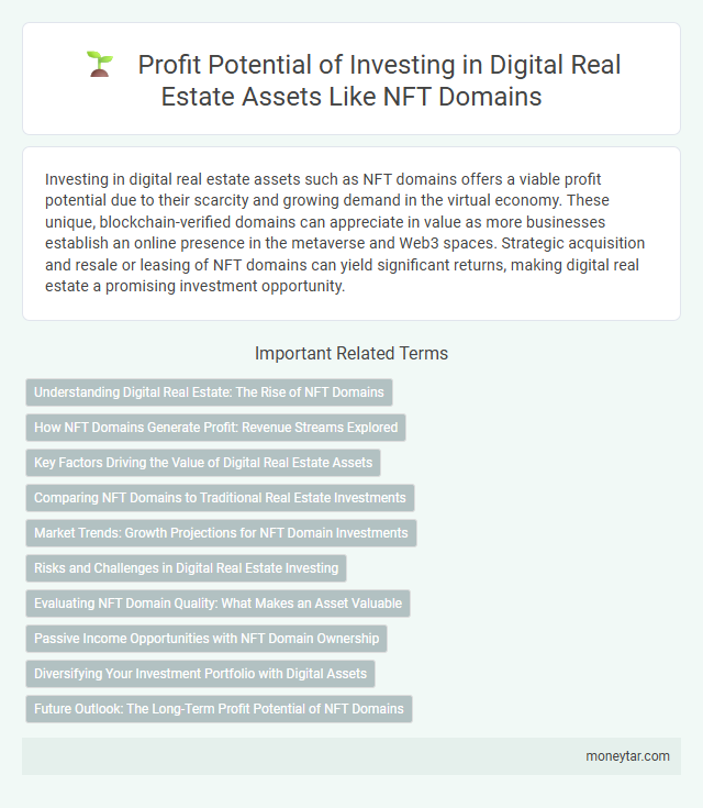 Profit Potential of Investing in Digital Real Estate Assets Like NFT Domains