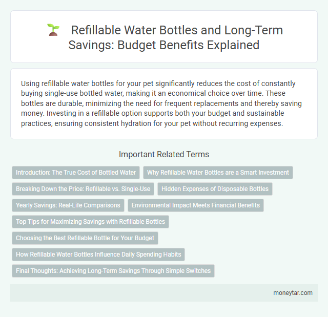 Refillable Water Bottles and Long-Term Savings: Budget Benefits Explained