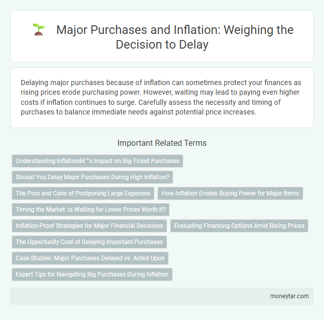 Major Purchases and Inflation: Weighing the Decision to Delay