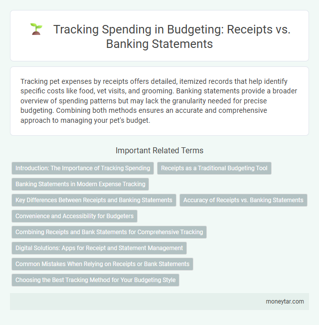 Tracking Spending in Budgeting: Receipts vs. Banking Statements