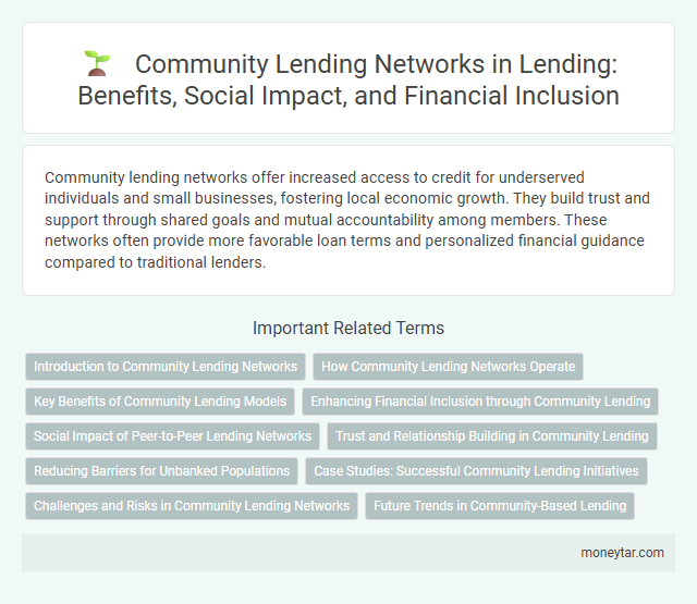 Community Lending Networks in Lending: Benefits, Social Impact, and Financial Inclusion