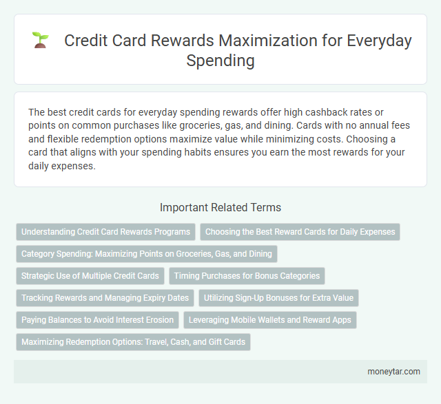 Credit Card Rewards Maximization for Everyday Spending