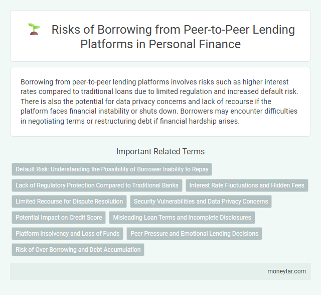 Risks of Borrowing from Peer-to-Peer Lending Platforms in Personal Finance