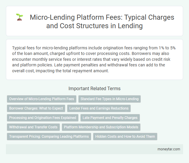 Micro-Lending Platform Fees: Typical Charges and Cost Structures in Lending