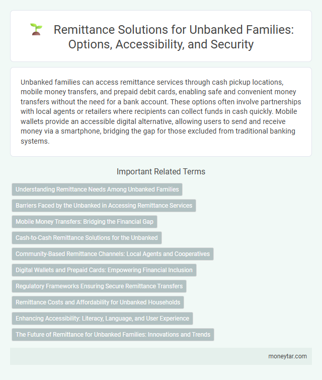 Remittance Solutions for Unbanked Families: Options, Accessibility, and Security