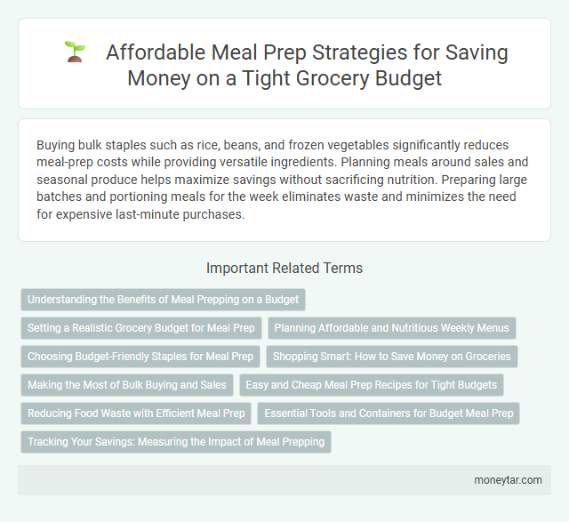 Affordable Meal Prep Strategies for Saving Money on a Tight Grocery Budget