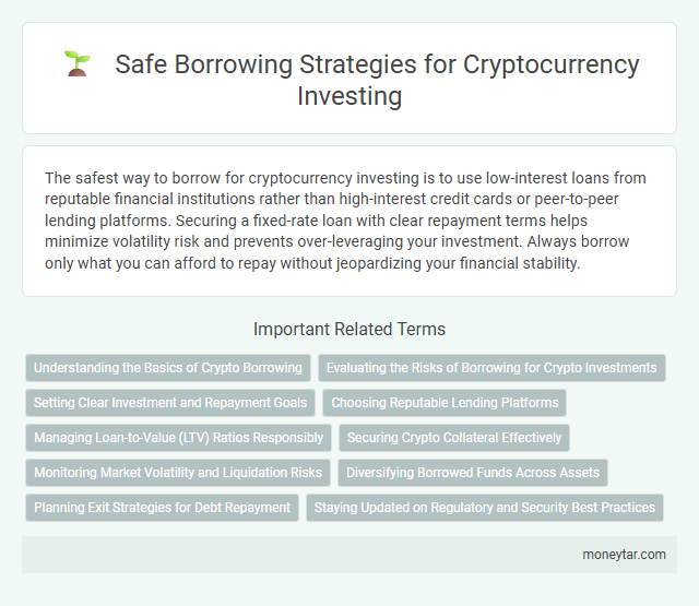 Safe Borrowing Strategies for Cryptocurrency Investing