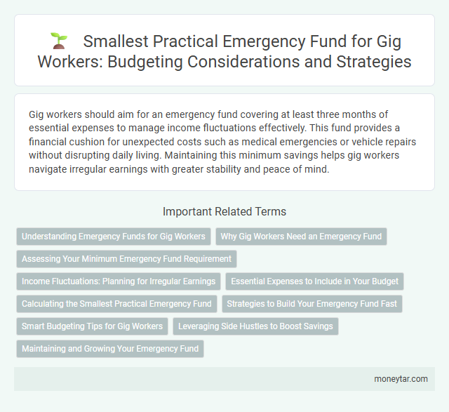 Smallest Practical Emergency Fund for Gig Workers: Budgeting Considerations and Strategies