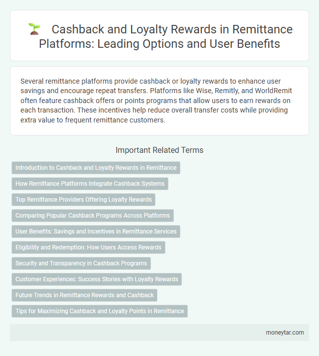 Cashback and Loyalty Rewards in Remittance Platforms: Leading Options and User Benefits