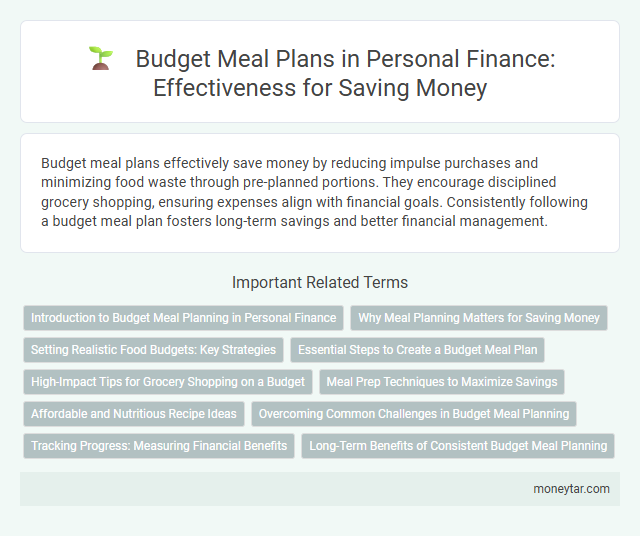 Budget Meal Plans in Personal Finance: Effectiveness for Saving Money