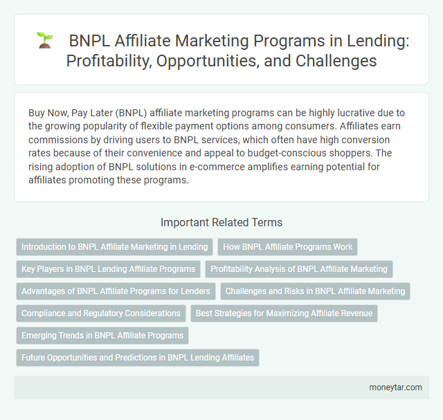 BNPL Affiliate Marketing Programs in Lending: Profitability, Opportunities, and Challenges
