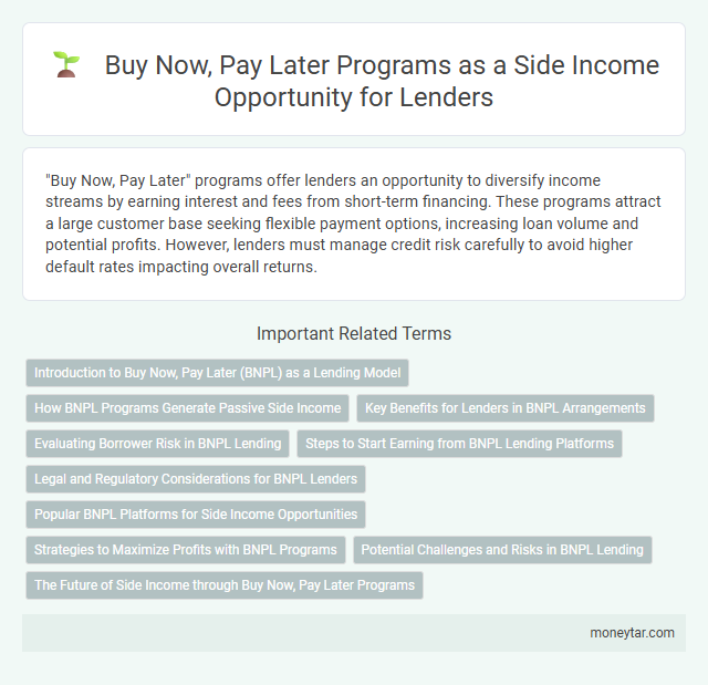 Buy Now, Pay Later Programs as a Side Income Opportunity for Lenders