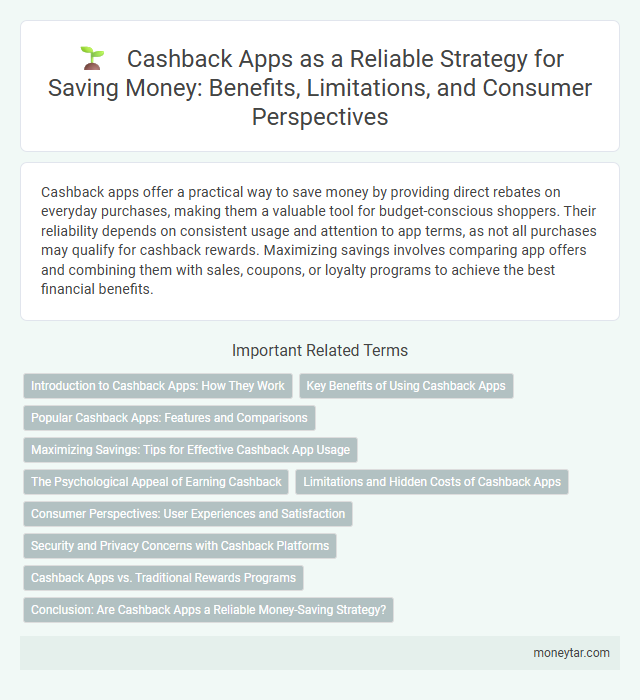 Cashback Apps as a Reliable Strategy for Saving Money: Benefits, Limitations, and Consumer Perspectives