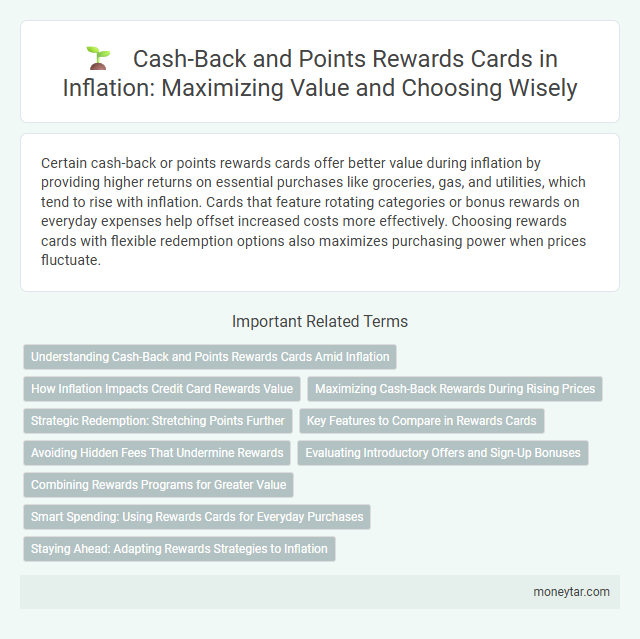 Cash-Back and Points Rewards Cards in Inflation: Maximizing Value and Choosing Wisely