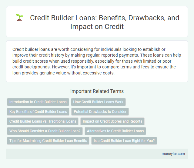 Credit Builder Loans: Benefits, Drawbacks, and Impact on Credit