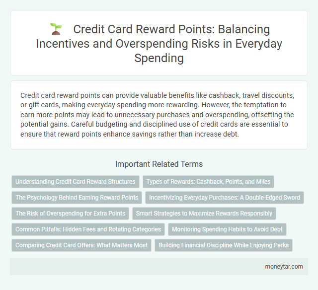 Credit Card Reward Points: Balancing Incentives and Overspending Risks in Everyday Spending