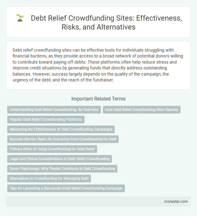 Debt Relief Crowdfunding Sites: Effectiveness, Risks, and Alternatives