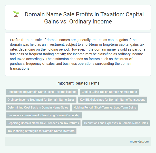 Domain Name Sale Profits in Taxation: Capital Gains vs. Ordinary Income