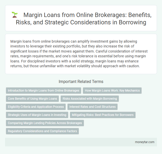 Margin Loans from Online Brokerages: Benefits, Risks, and Strategic Considerations in Borrowing