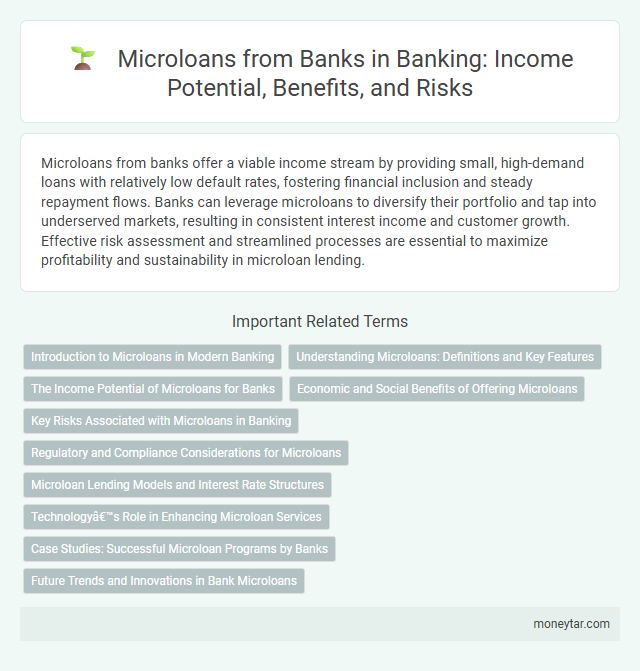 Microloans from Banks in Banking: Income Potential, Benefits, and Risks