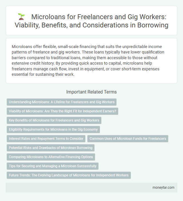 Microloans for Freelancers and Gig Workers: Viability, Benefits, and Considerations in Borrowing