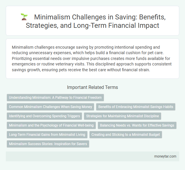 Minimalism Challenges in Saving: Benefits, Strategies, and Long-Term Financial Impact