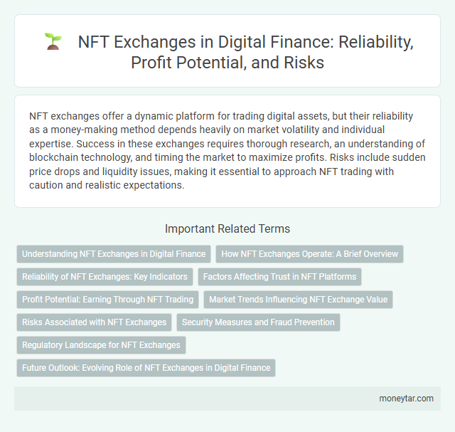 NFT Exchanges in Digital Finance: Reliability, Profit Potential, and Risks