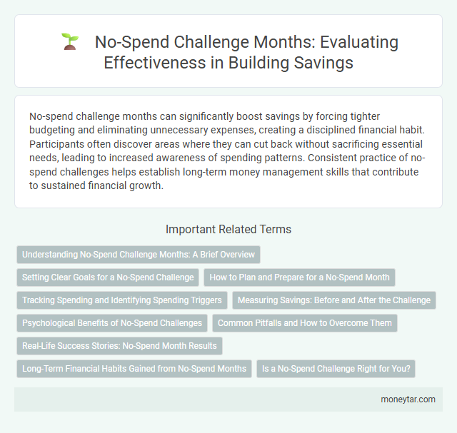 No-Spend Challenge Months: Evaluating Effectiveness in Building Savings