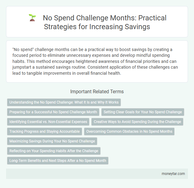 No Spend Challenge Months: Practical Strategies for Increasing Savings