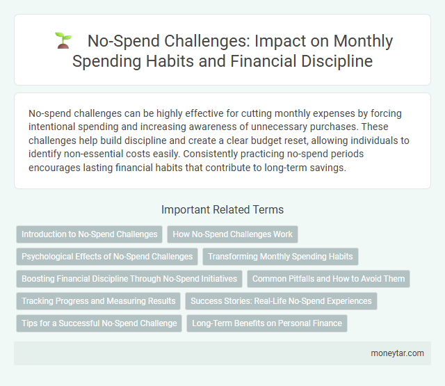 No-Spend Challenges: Impact on Monthly Spending Habits and Financial Discipline