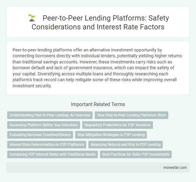 Peer-to-Peer Lending Platforms: Safety Considerations and Interest Rate Factors