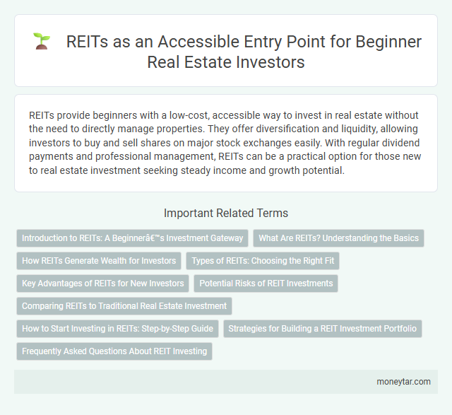 REITs as an Accessible Entry Point for Beginner Real Estate Investors