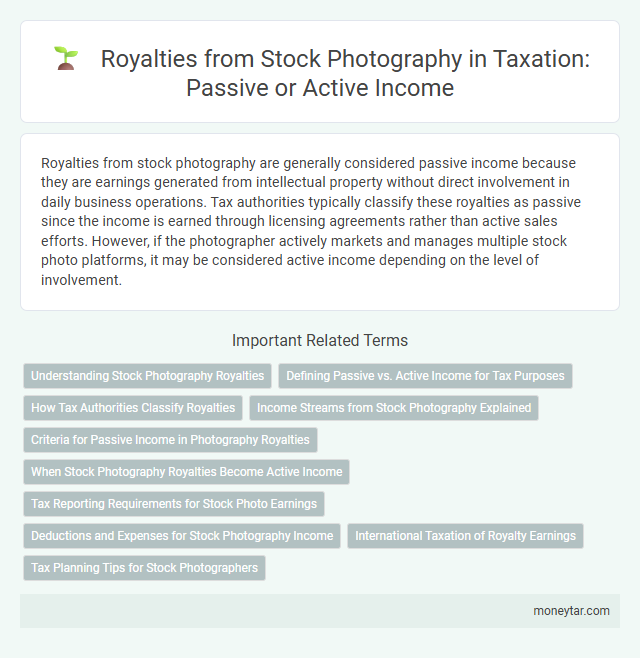 Royalties from Stock Photography in Taxation: Passive or Active Income