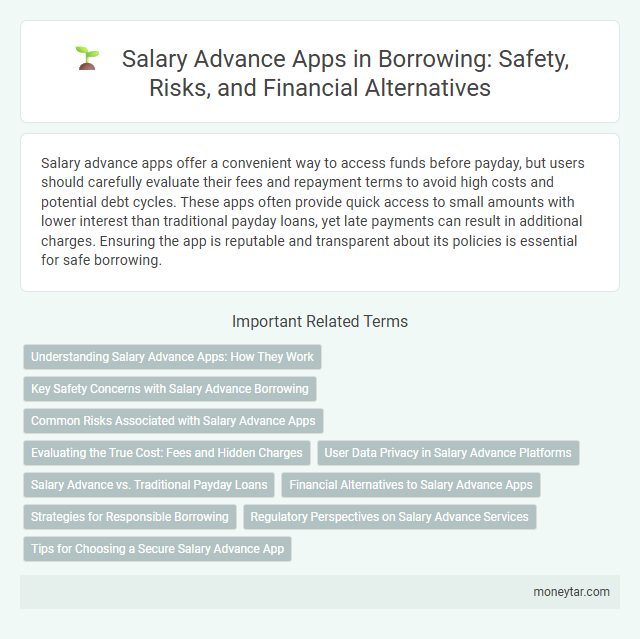 Salary Advance Apps in Borrowing: Safety, Risks, and Financial Alternatives
