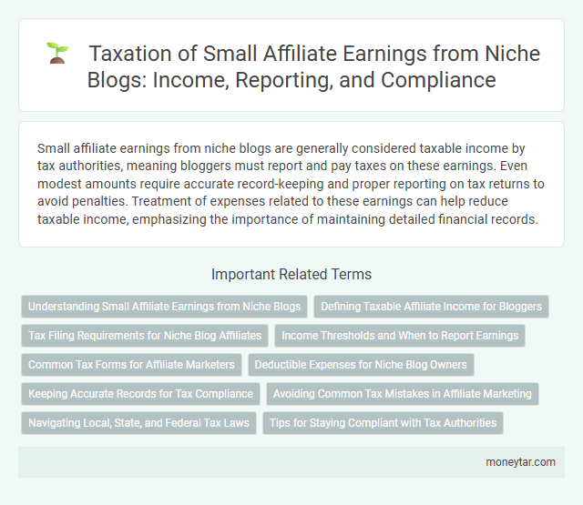 Taxation of Small Affiliate Earnings from Niche Blogs: Income, Reporting, and Compliance